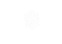 stylin logo